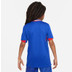 Nike Frankrijk Thuis Tenue Kids