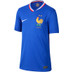 Nike Frankrijk Thuis Tenue Kids