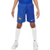 Nike Frankrijk Uit Tenue Kids