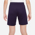 Nike Frankreich Trainingsset Kinder