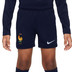 Nike Frankrike Academy Pro Träningsset
