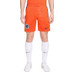Nike Niederlande Heim Tenue