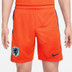 Nike Niederlande Heim Tenue