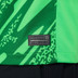 Nike Nederland Thuis Keepersshirt 2024/2026