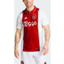 adidas Ajax Heimtrikot 2024/2025