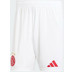 adidas Ajax Pre-Match Träningsset
