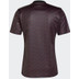 adidas Ajax Pre-Match Shirt 2024/2025