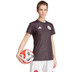 adidas Ajax Pre-Match Shirt Dames 2024/2025