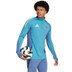 adidas Ajax Training Top 2024/2025