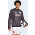 adidas Ajax Pre-Match Warm Top 2024/2025