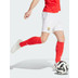 adidas SL Benfica Thuis Tenue