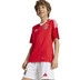 adidas SL Benfica Thuis Short Kids 2024/2025