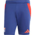 adidas Olympique Lyon Träningsset
