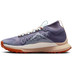 Nike Pegasus Trail 4 GTX Dames