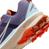 Nike Terra Kiger 9 Dam