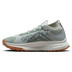 Nike Pegasus Trail 4 GTX Heren