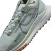 Nike Pegasus Trail 4 GTX Heren