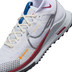 Nike Pegasus Trail 4 GTX Heren