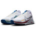 Nike Pegasus Trail 4 GTX Heren