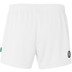 Kempa Team Shorts Damen
