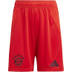 adidas Bayern München Pre-Match Träningsset Barn