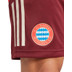adidas Bayern München Trainingsset
