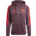 adidas Bayern München TK Hoody 2024/2025