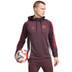 adidas Bayern München TK Hoody 2024/2025