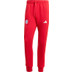 adidas Bayern München Travel Pant 2024/2025