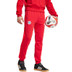 adidas Bayern München Travel Pant 2024/2025