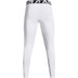 Under Armour Coldgear Legging