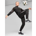 Puma King Pro FG/AG