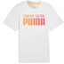 PUMA Run Favorites Forever Faster T-Shirt Herren