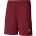 Puma Manchester City 3rd Tenue