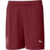Puma Manchester City 3rd Outfit-Kombi Kinder