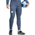 Puma Manchester City Tracksuit