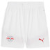 Puma Red Bull Leipzig Thuis Tenue Kids
