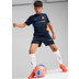 Puma Olympique Marseille Trainingsset Kinder
