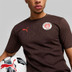 Puma FC ST. Pauli Träning Tröja 2024/2025
