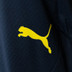 Puma Fenerbahce Trainingspak