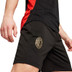 Puma AC Milan Short 2024/2025