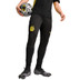 Puma Borussia Dortmund Training Hose 2024/2025
