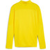 Puma Borussia Dortmund Training Top Kids