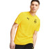 Puma Borussia Dortmund Trainingsset