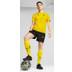 Puma Borussia Dortmund Trainingsset