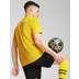 Puma Borussia Dortmund Trainingsset