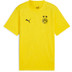 Puma Borussia Dortmund Training Set Kids