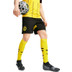 Puma Borrusia Dortmund Hemmaställ
