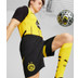 Puma Borrusia Dortmund Hemmaställ
