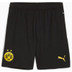 Puma Borrusia Dortmund Hemmaställ

